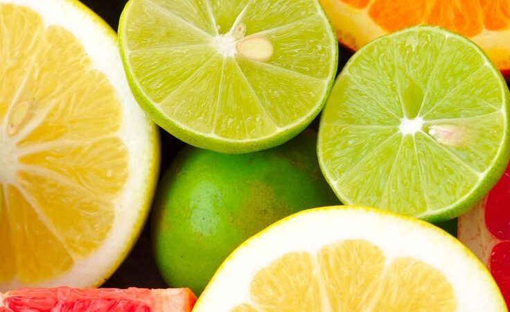 Alimentos que Fortalecem o Sistema Imunológico.